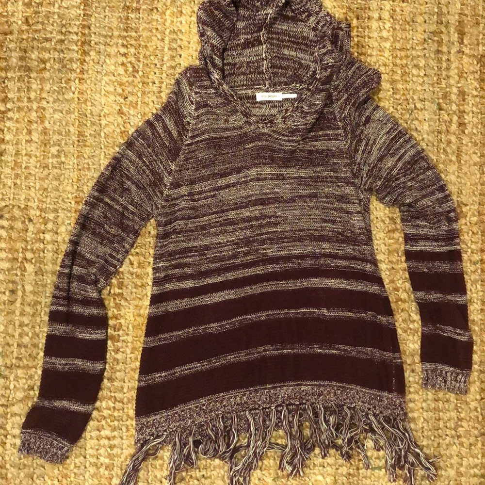 Blu Pepper Hooded Sweater